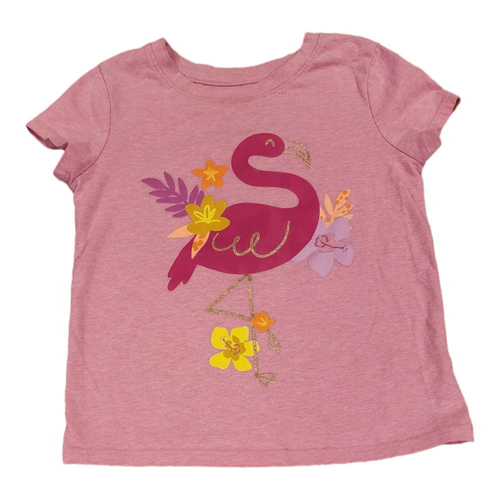 Jumping Beans Softest Tee Flamingo Girl 4T